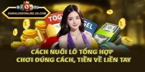 Cách Nuôi Lô Tổng Hợp - Chơi Đúng Cách, Tiền Về Liền Tay